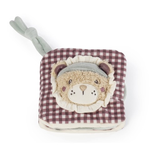 LIBRO ACTIVIDADES LEON GALA BEIG