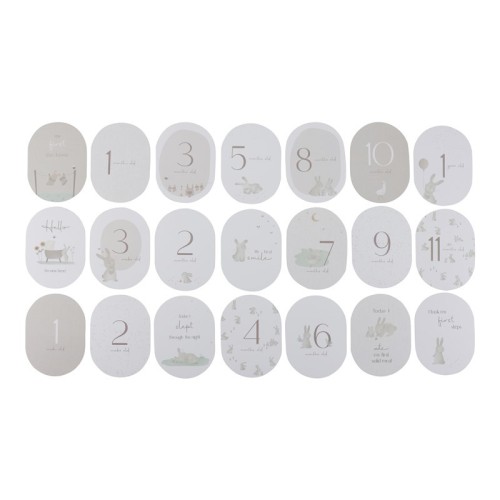 TARJETAS MILESTONE BABY BUNNY