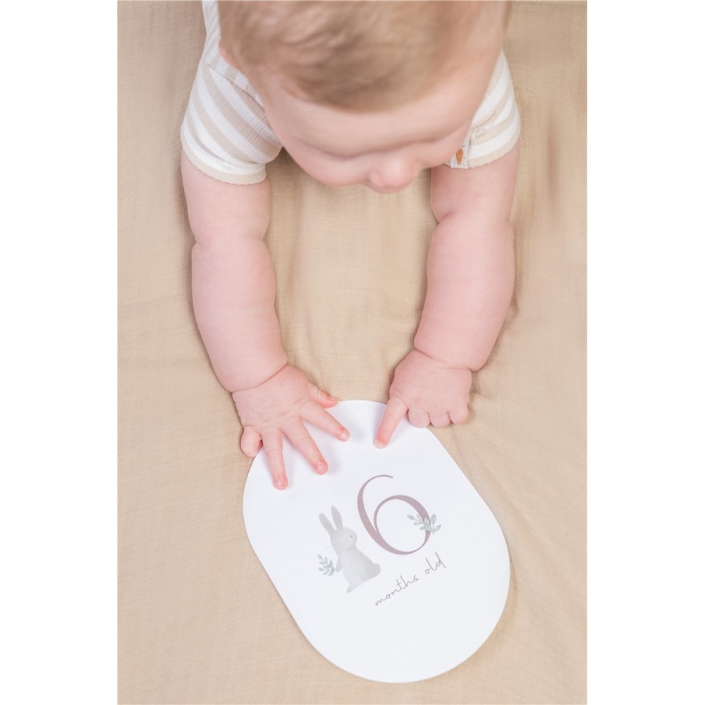 TARJETAS MILESTONE BABY BUNNY