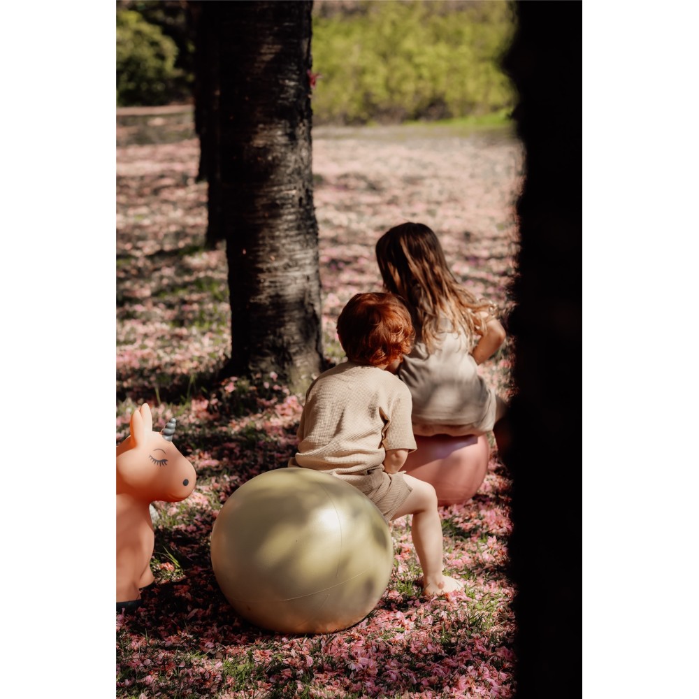 PELOTA SALTARINA HIPPO DORADO 2