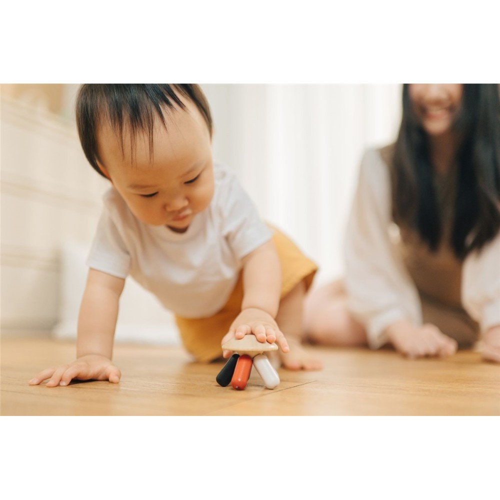 MEDUSA FLEXI CONTRASTES