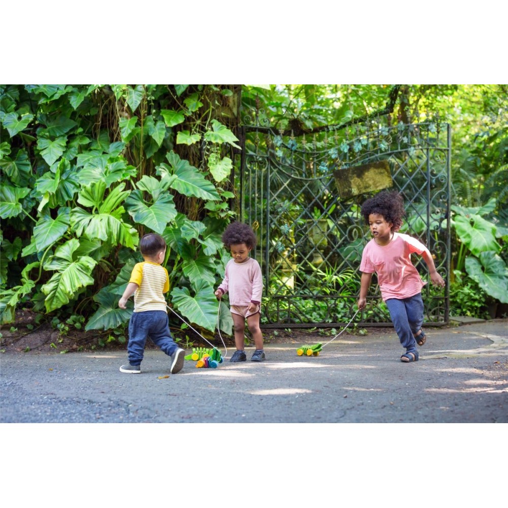 PLANTOYS COCODRILO ARCOIRIS 2