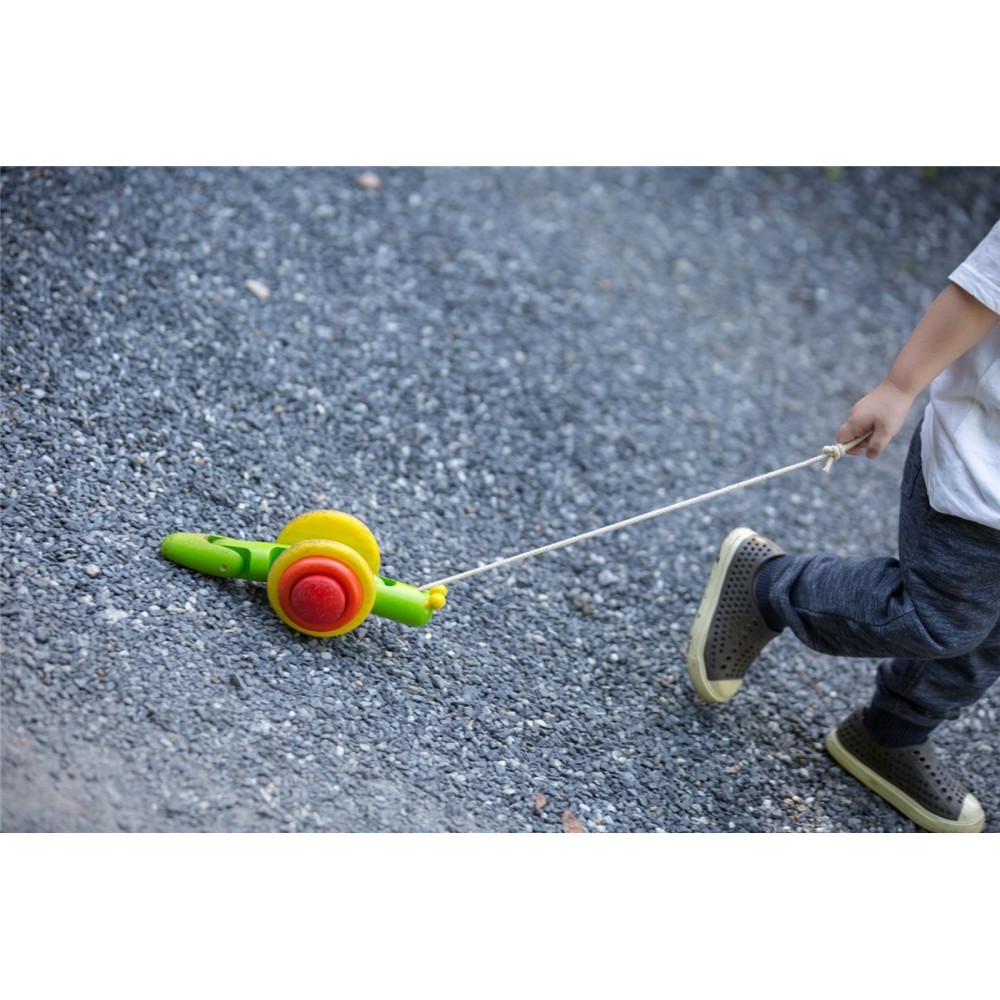 PLANTOYS CARACOL DE PASEO