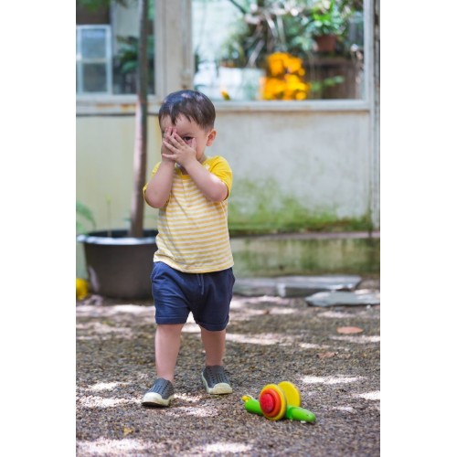 PLANTOYS CARACOL DE PASEO