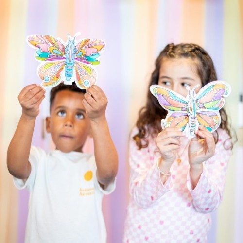 2DIS INFLABLE MARIPOSAS