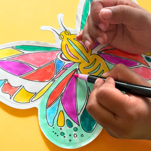 2DIS INFLABLE MARIPOSAS