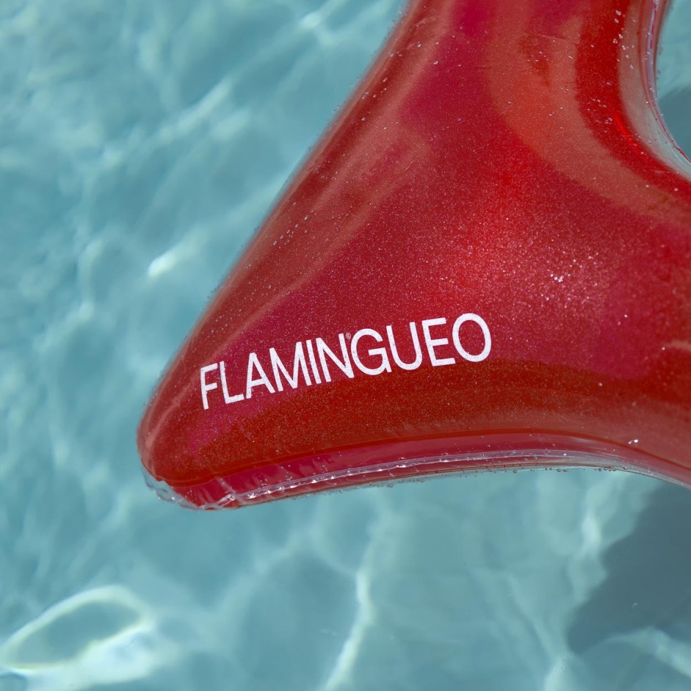 FLOTADOR DONUT VEGA ROJO