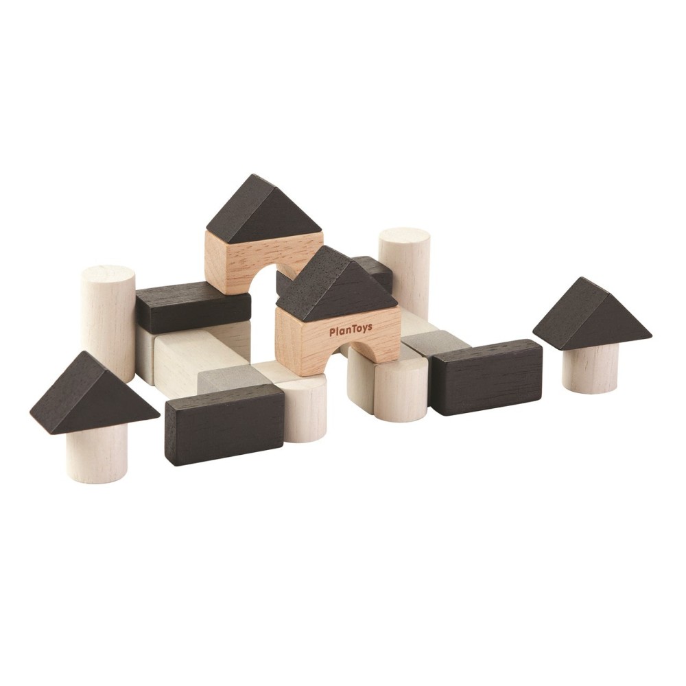 SET DE CONSTRUCCION PLANTOYS 2