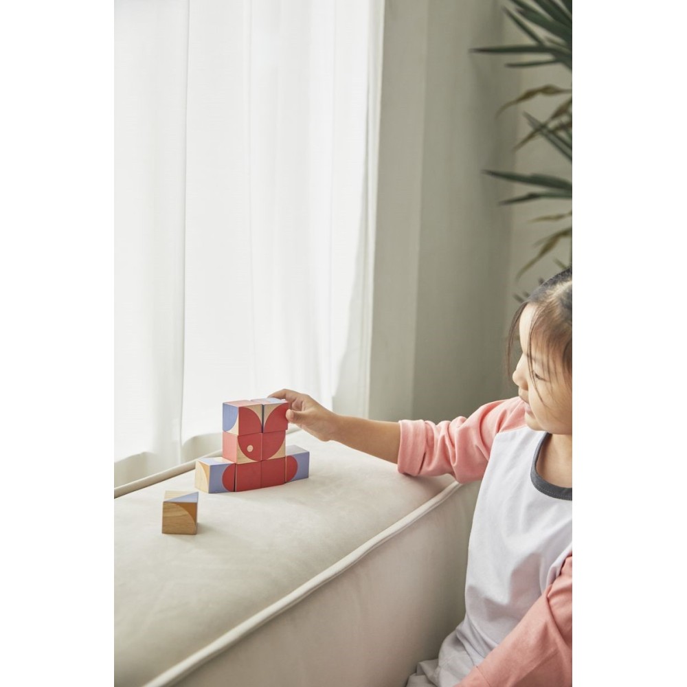 PLANTOYS CUBOS PATRON GEOMETRICO