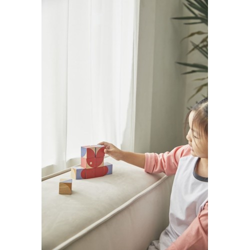 PLANTOYS CUBOS PATRON GEOMETRICO