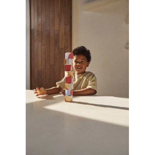 PLANTOYS CUBOS PATRON GEOMETRICO