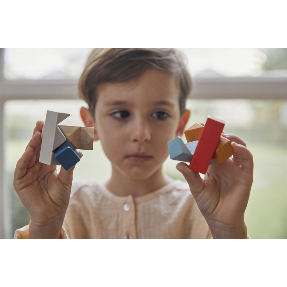 PUZLE RECTANGULOS PLANTOYS