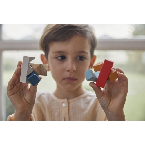 PUZLE RECTANGULOS PLANTOYS