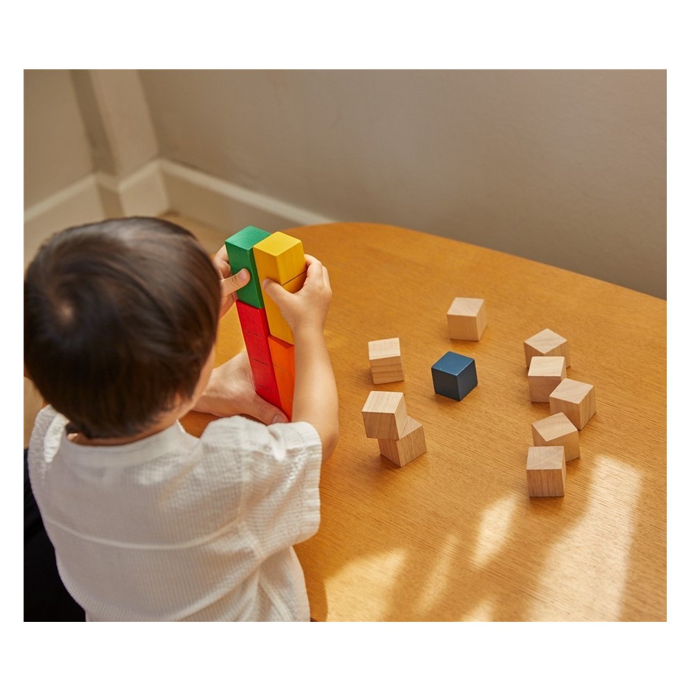 PLANTOYS BLOQUES PARA CONTAR UN