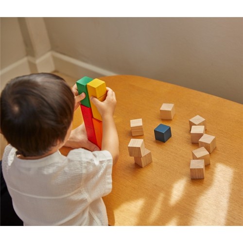 PLANTOYS BLOQUES PARA CONTAR UN