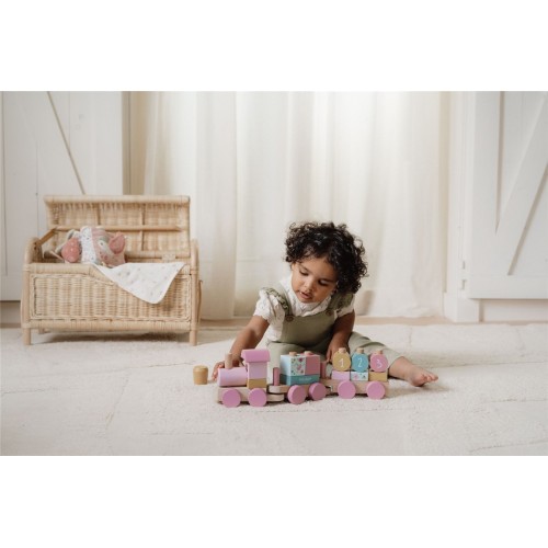 TREN APILABLE FAIRY GARDEN FSC