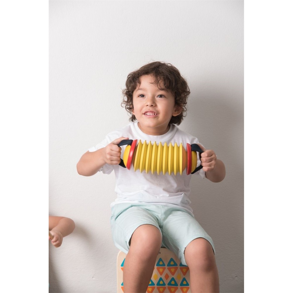 PLANTOYS ACORDEON