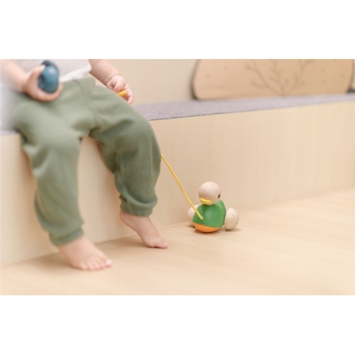 ARRASTRE PATO MONTESSORI