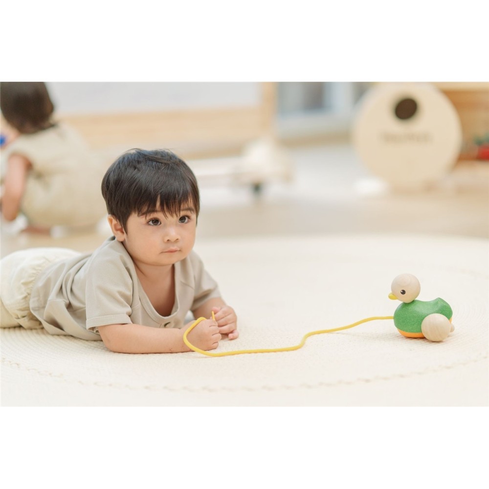 ARRASTRE PATO MONTESSORI