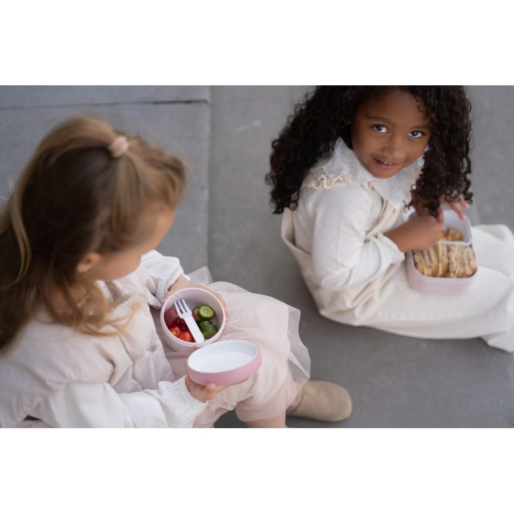 CAJA FRUTA CAMPUS FAIRY GARDEN