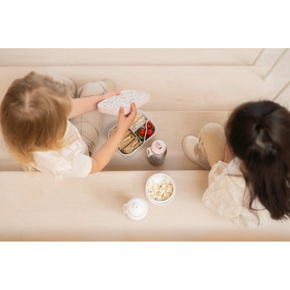 CAJA FRUTA FAIRY WONDER