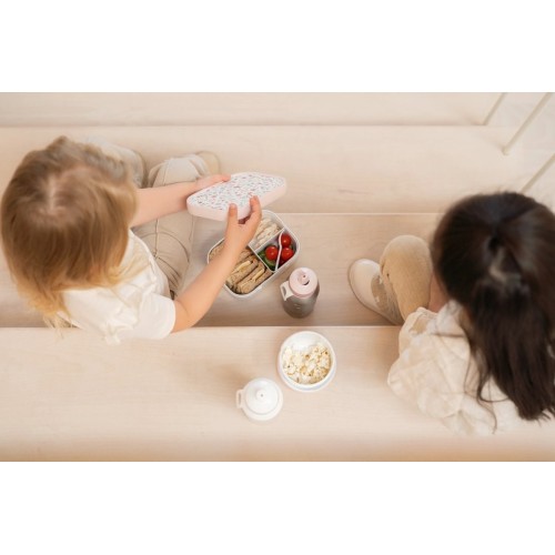 CAJA FRUTA FAIRY WONDER