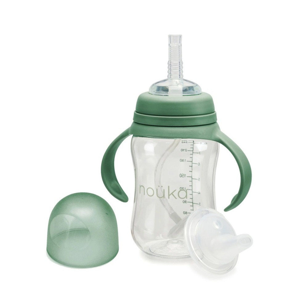 TAZA TRANSITIONAL PAJITA 240 FERN