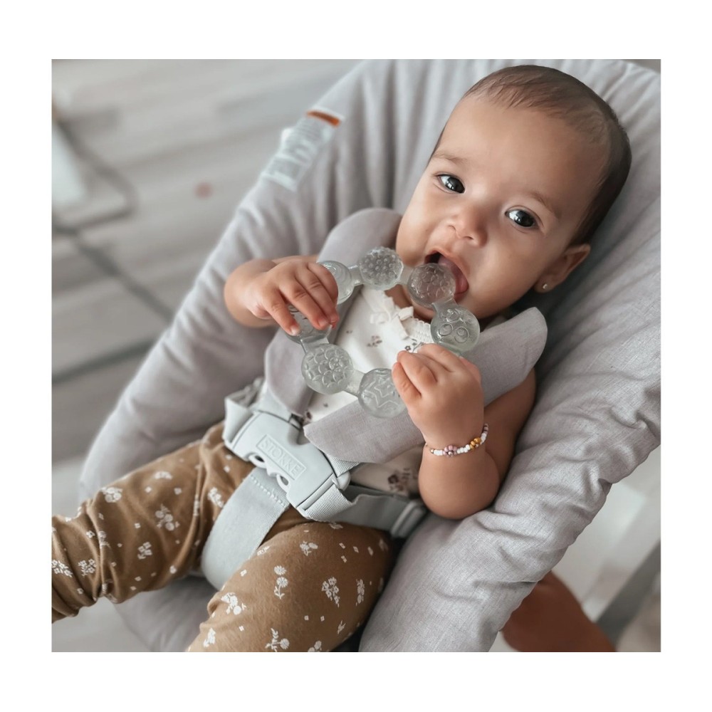 MORDEDOR REFIGERANTE DE ANILLA MOSS