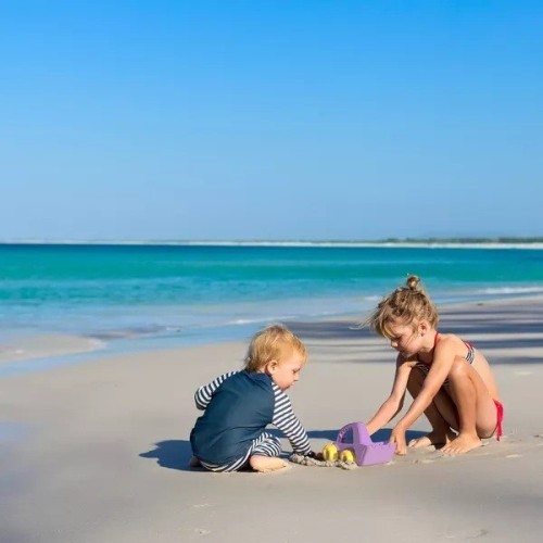 BULBI CAMON CON PALA AZUL / VERDE