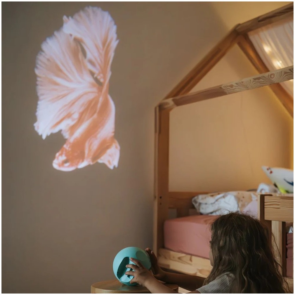 KIDYSTAR OCEANOS Y MARES