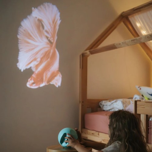 KIDYSTAR OCEANOS Y MARES