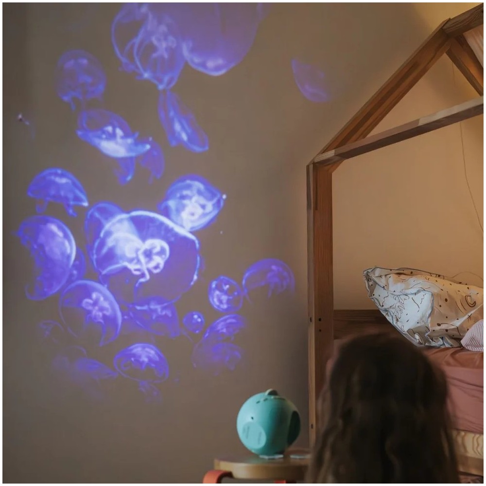 KIDYSTAR OCEANOS Y MARES