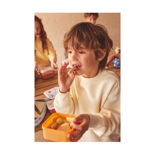 3 CAJAS ALMUERZO LITTLE RED