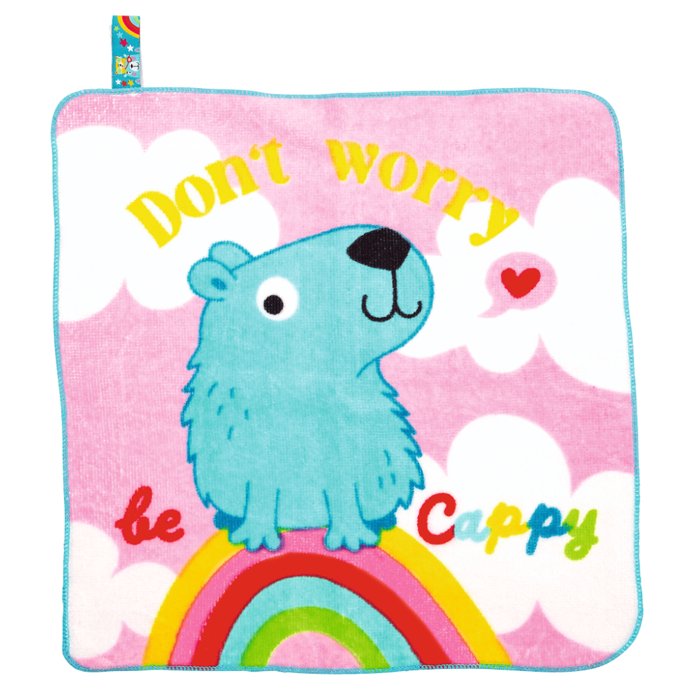 MINI REGALOS.TOALLA MAGICA