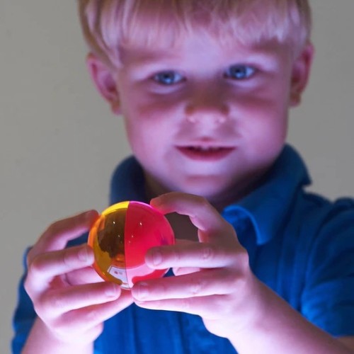 PERCEPTION SEMISPHERES