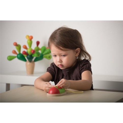 PLANTOYS ATA EL ZAPATO