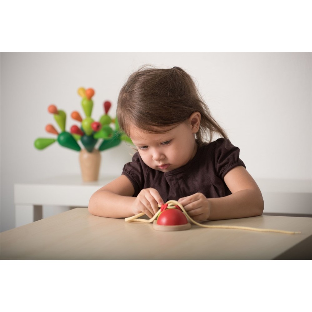 PLANTOYS ATA EL ZAPATO