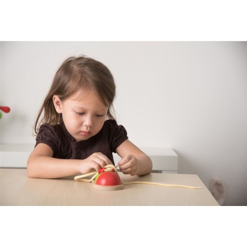 PLANTOYS ATA EL ZAPATO