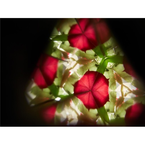 PLANTOYS CALENDOSCOPIO